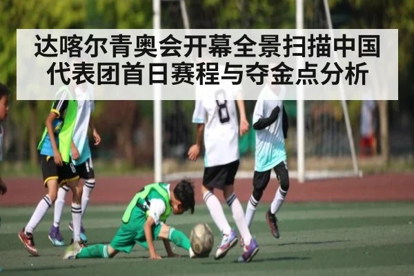 达喀尔青奥会开幕全景扫描中国代表团首日赛程与夺金点分析 | SPORTS